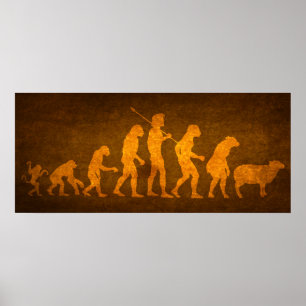 Evolution av samlas trycket poster