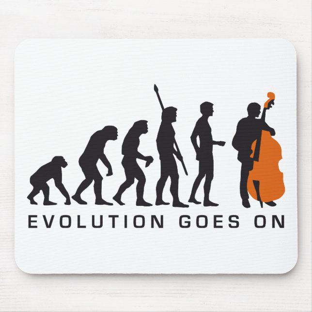 evolution bass musmatta (Framsidan)