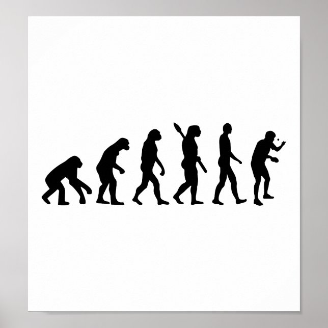 Evolution Bord tennis Poster (Framsidan)