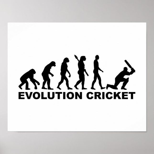 Evolution Cricket Poster (Framsidan)