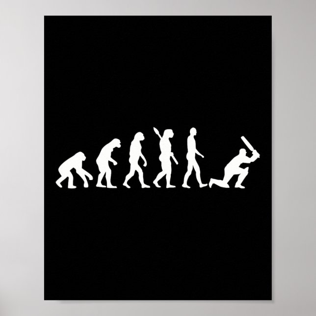 Evolution Cricket Spelare 1  Poster (Framsidan)