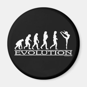 Evolution - dans magnet