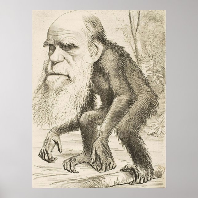 EVOLUTION DARWIN Charles Robert Darwin 1871 carica Poster (Framsidan)