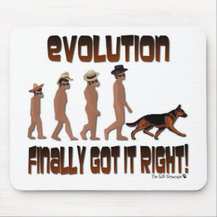 EVOLUTION FICK SLUTLIGEN DET HÖGERT! MUSMATTA