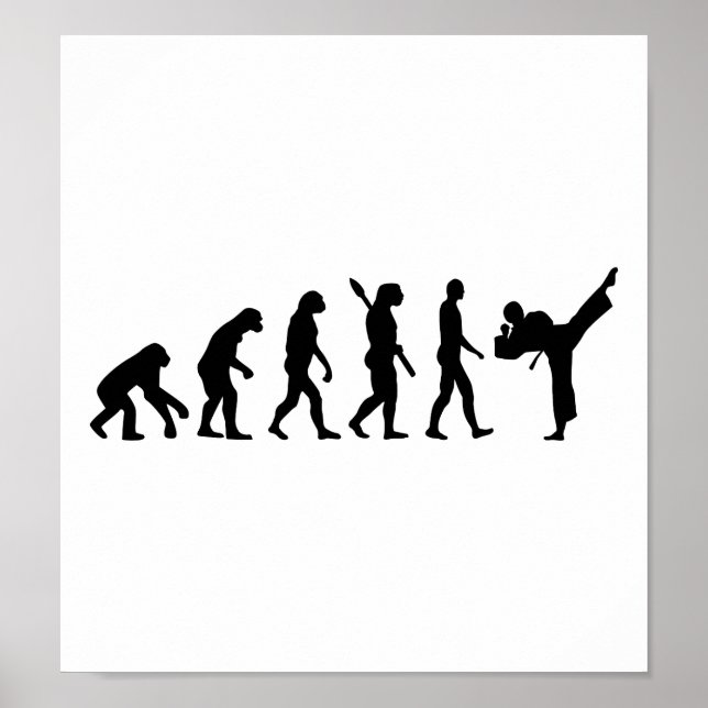 Evolution Karate kickboxing Poster (Framsidan)