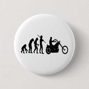Evolution Knapp