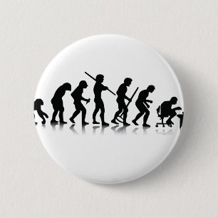Evolution Knapp