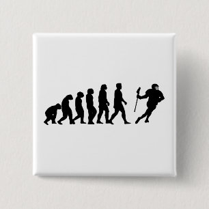 Evolution Knapp
