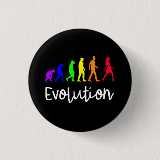 Evolution Knapp
