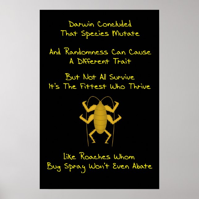 Evolution Limerick Poster (Framsidan)