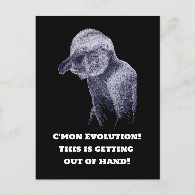 Evolution Monkey Vykort (Framsida)