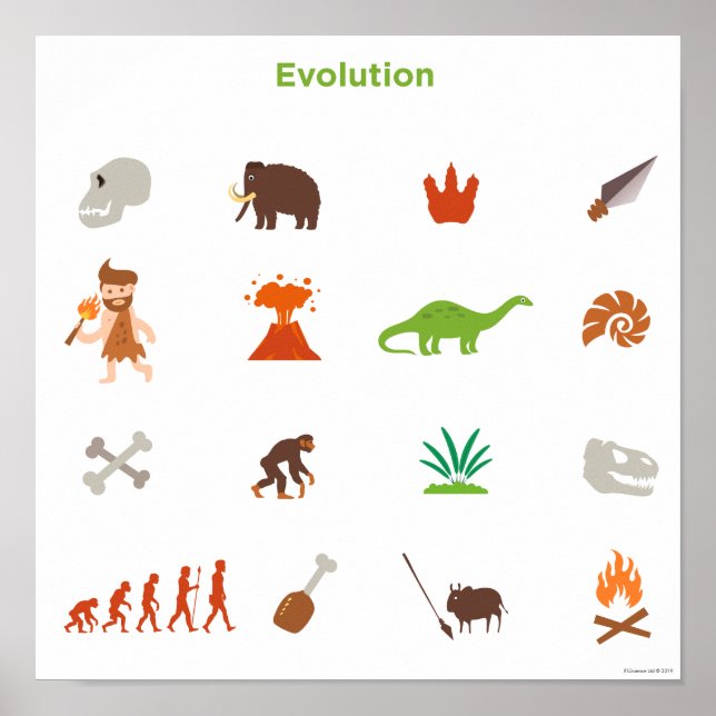 Evolution Mönster Poster (Framsidan)