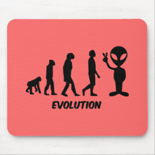 Evolution Musmatta
