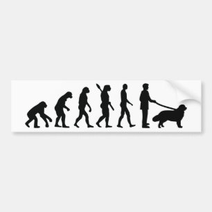 Evolution Newfoundland Bildekal