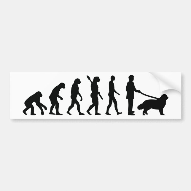 Evolution Newfoundland Bildekal (Framsidan)