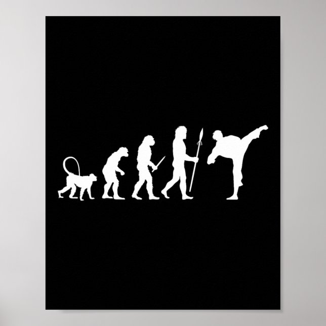 Evolution Of Karate  Poster (Framsidan)