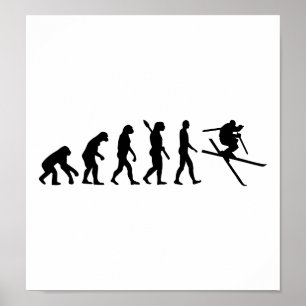 Evolution skidar fristil poster