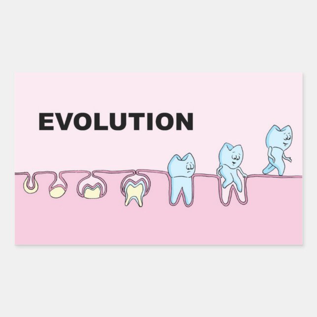 Evolution Tandvård Sticker Rektangulärt Klistermärke (Framsida)