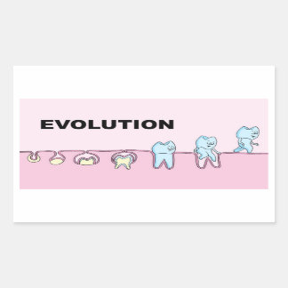 Evolution Tandvård Sticker Rektangulärt Klistermärke