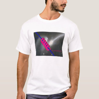 evolution tee shirt