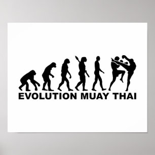 Evolution thailändska Muay Poster