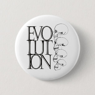 Evolution (vit) knapp