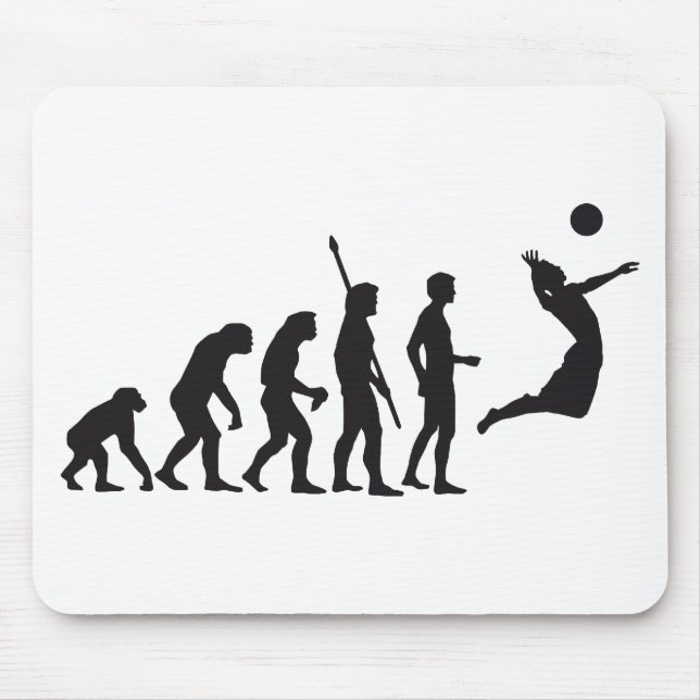 evolution volleyball musmatta (Framsidan)