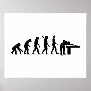 Evolutionbiljard Poster