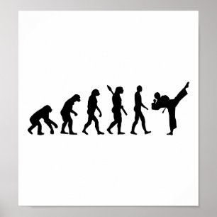 EvolutionKarate som kickboxing Poster