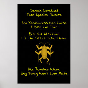 EvolutionLimerick Poster