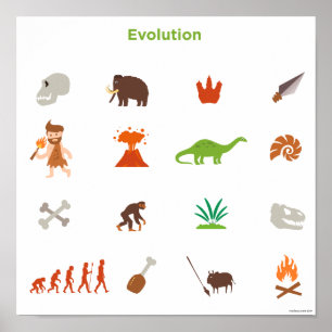 Evolutionmönster Poster
