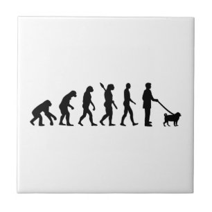 Evolutionmops Kakelplatta