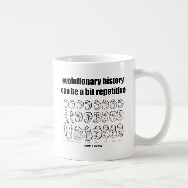 evolutions- historia kan vara a bet upprepande kaffemugg (Höger)