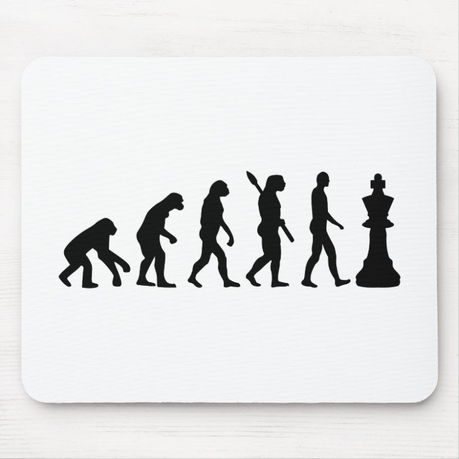 Evolutionschackkung Musmatta (Framsidan)