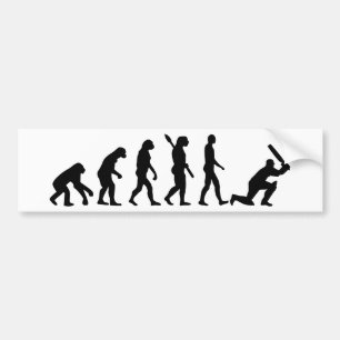 Evolutionsyrsa Bildekal