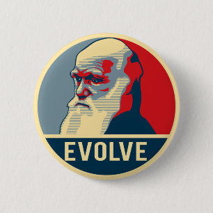 Evolve Knapp