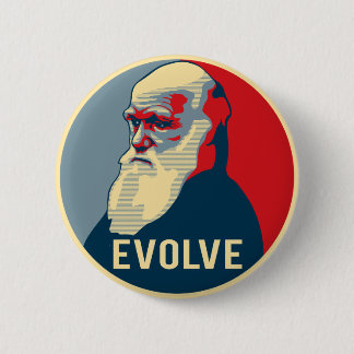 Evolve Knapp