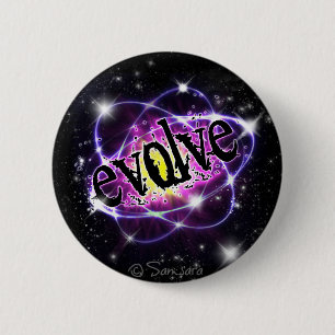 Evolve Knapp