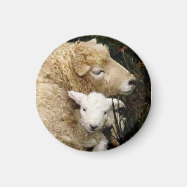 Ewe och Lamb Magnet