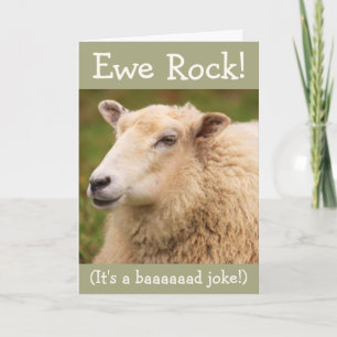 Ewe Sten! Får- födelsedagskort Kort