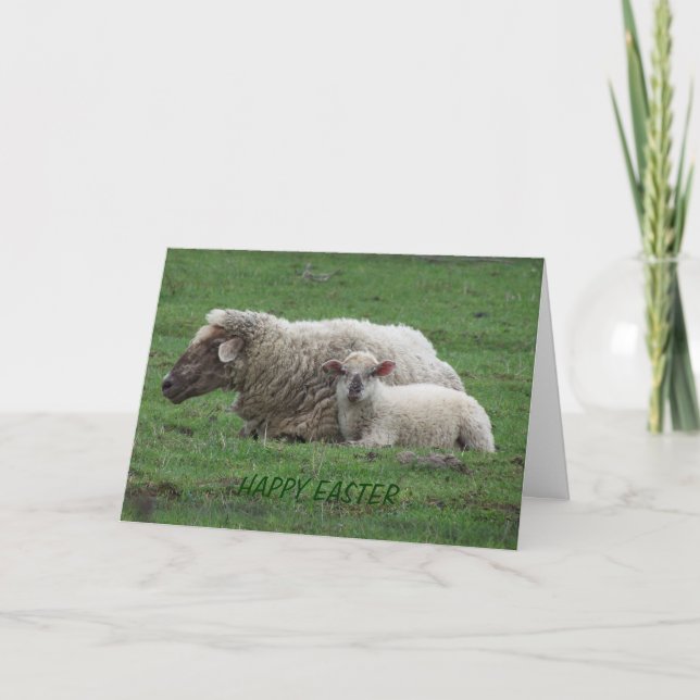 Ewe with Lamb, Påsk Helgkort (Framsida)
