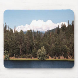 Ewing Reservoir i Vår...... Musmatta