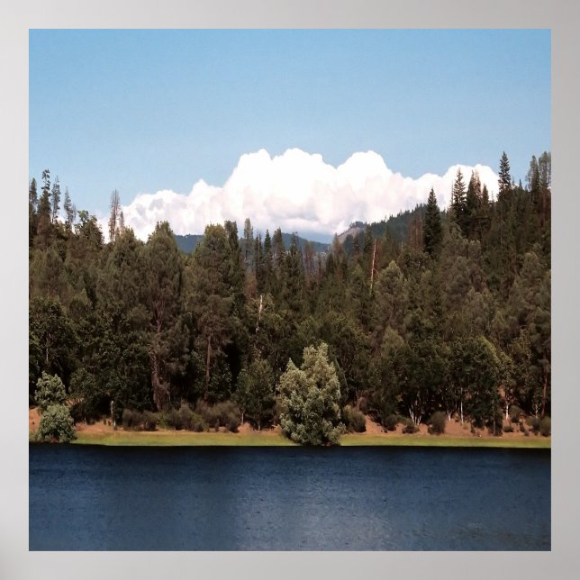 Ewing Reservoir i Vår..... Poster (Framsidan)