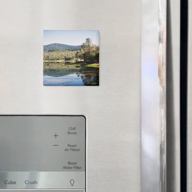 Ewing Reservoir... Magnet (In Situ (Fridge))