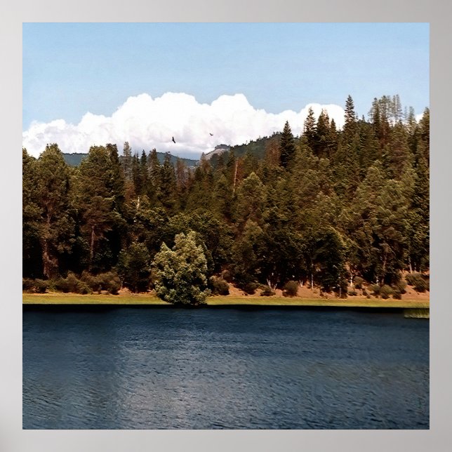 Ewing Reservoir... Poster (Framsidan)