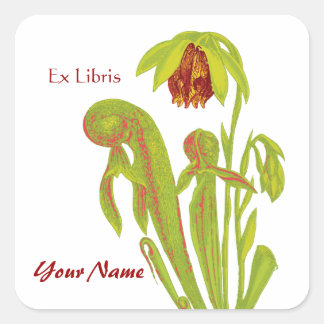 Ex Libris Pitcher Plant Bok Stickers Fyrkantigt Klistermärke