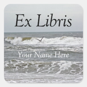 Ex Libris - Surfa och Gull Sticker Fyrkantigt Klistermärke