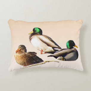 Exakt fyllning för tre Mallard Anka Prydnadskudde