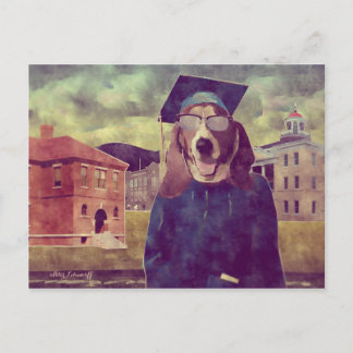 Examen Basset Postkort Meddelande Vykort