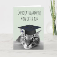 Examen Grattis Ilsken Katt Humor